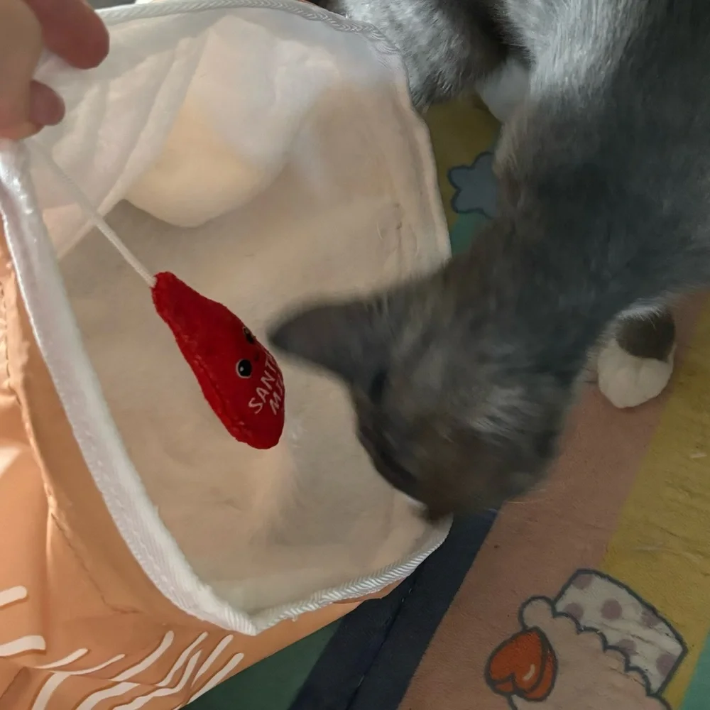 Kitten bag toy for fun